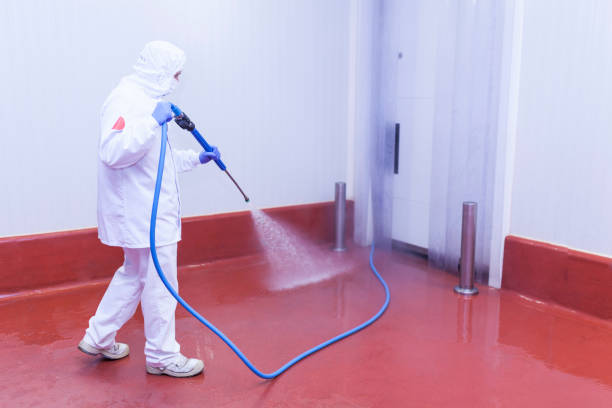 Professional Pressure Washing Services in New Hackensack, NY