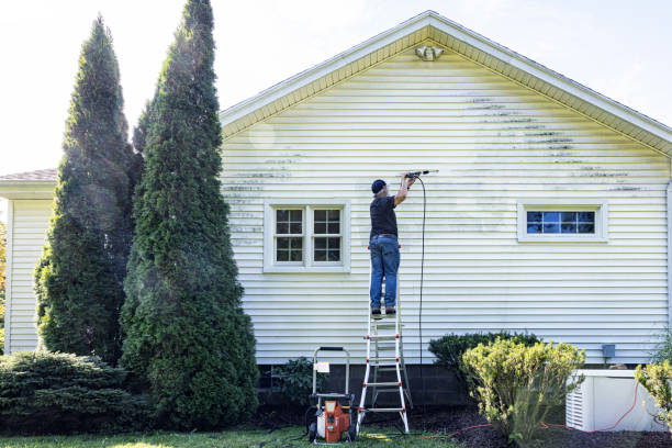 Best Graffiti Removal  in New Hackensack, NY